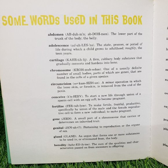 Wonderfully Made by Ruth Hummel Concordia Christian Sex Education Series 1967 - Picture 8 of 8